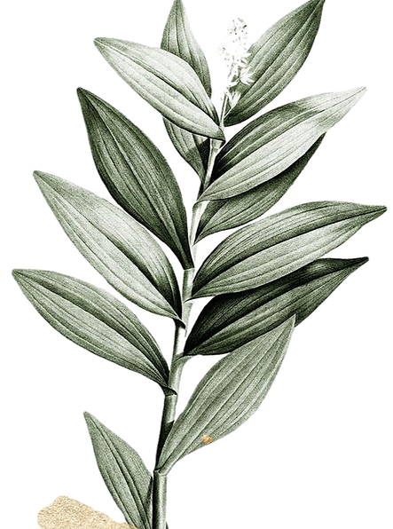 a25dc04bf9bbc16e8e5ca539fecd2c7e_edited_