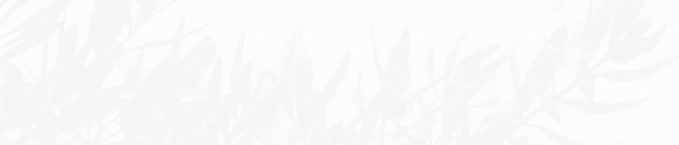 P1010049%252520(4)_edited_edited_edited_