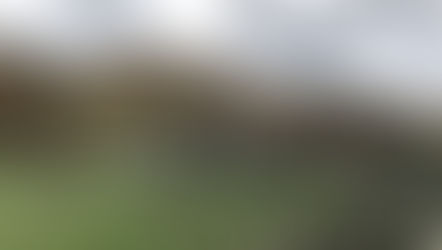 Georgien - Ein Reisebericht