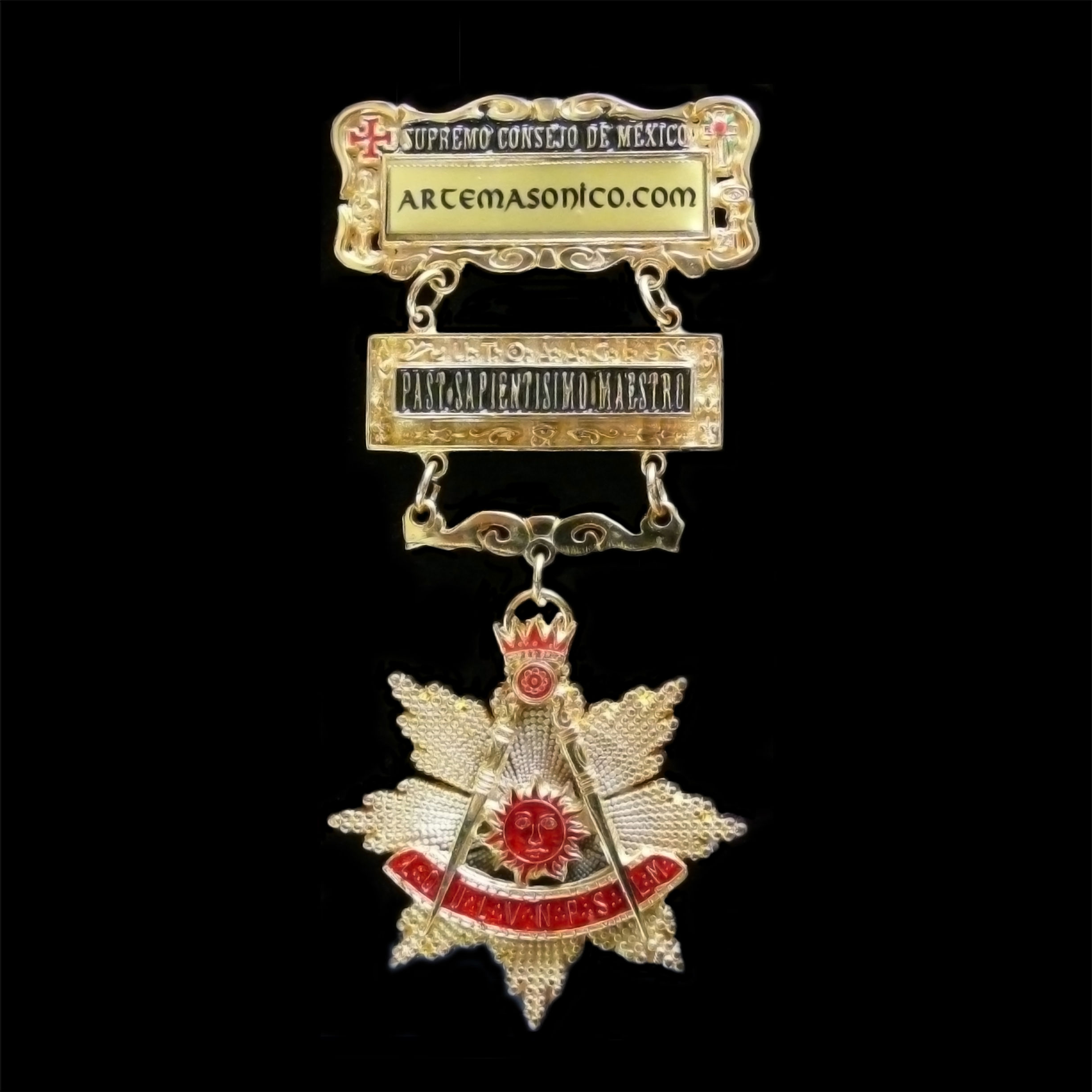 Medalla Past Sapientisimo Maestro