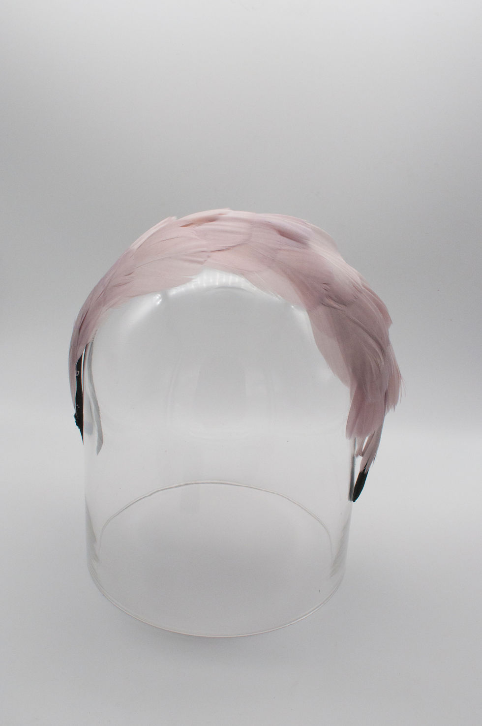 Thumbnail: Haarreifen Federn