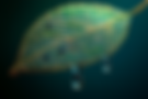 GROOW.AI.11397.png