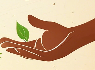 many hands holding tree sapling in dirt with sun, wind and rain surrounding it_edited_edit