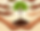 many hands holding tree sapling in dirt with sun, wind and rain surrounding it_edited.png