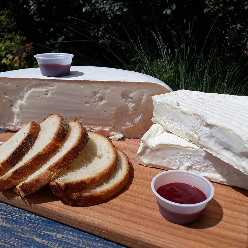 Cheese and Bread Delivery 6/3