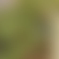 Enhancing Fruit Counting Accuracy with Advanced Software