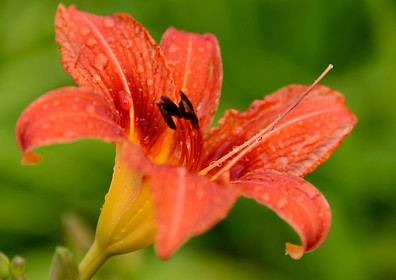 Писатель Ирина Андреева - Обращение