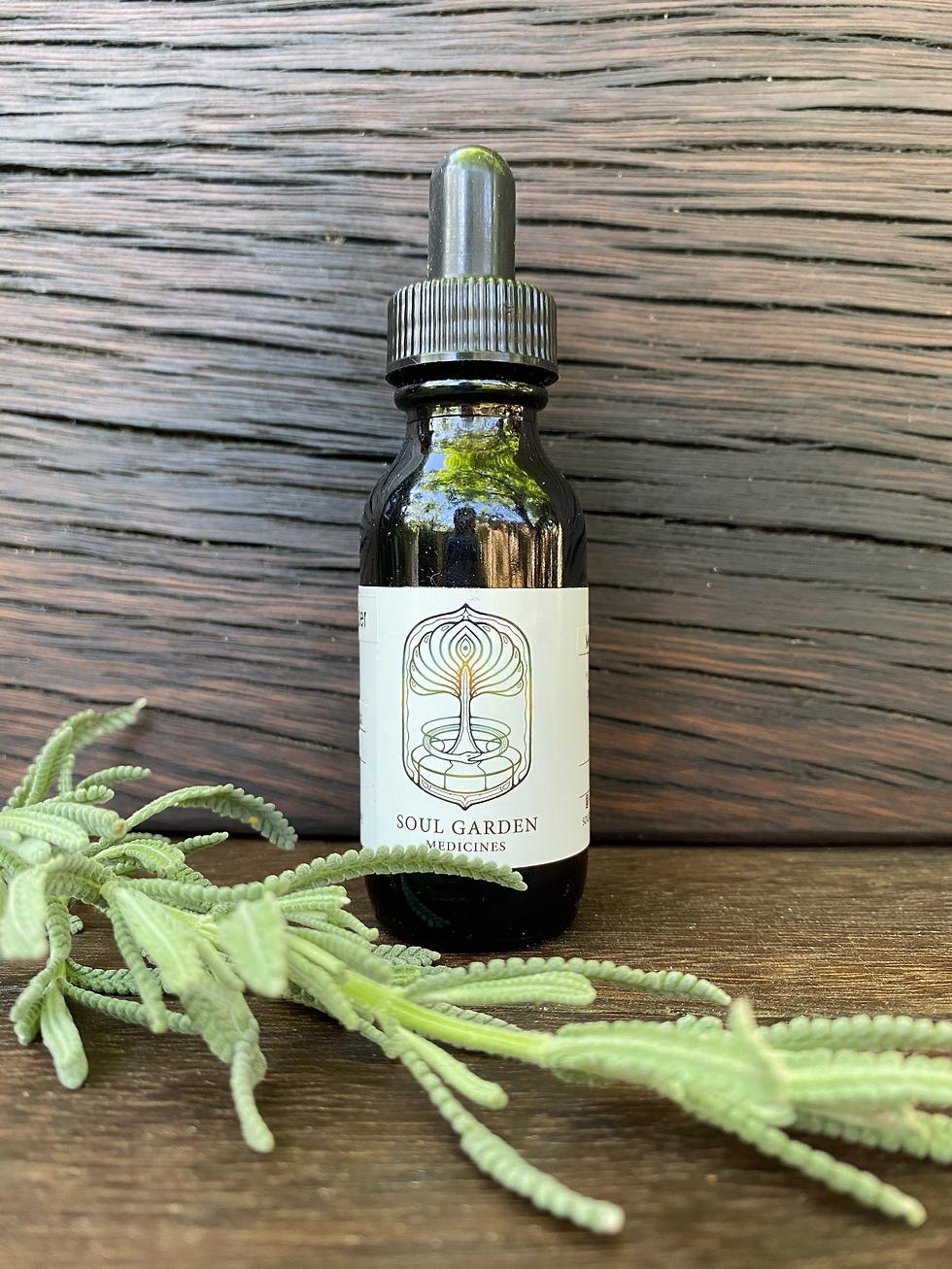 French Lavender