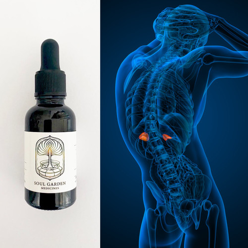 Adrenal Restore SGM