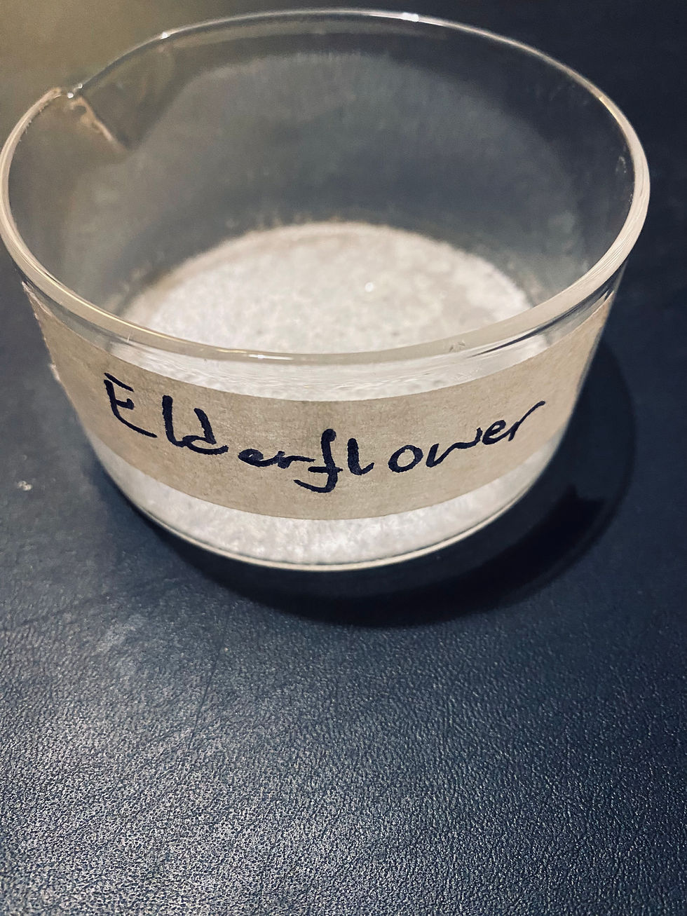 Thumbnail: Elderflower