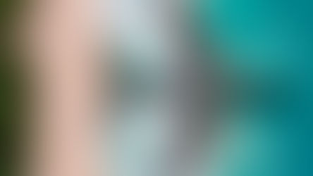 Plane flying over beach