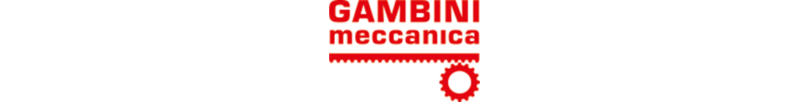 Gambini Meccanica Rack and Pinion Systems Gearwheels straight and helical