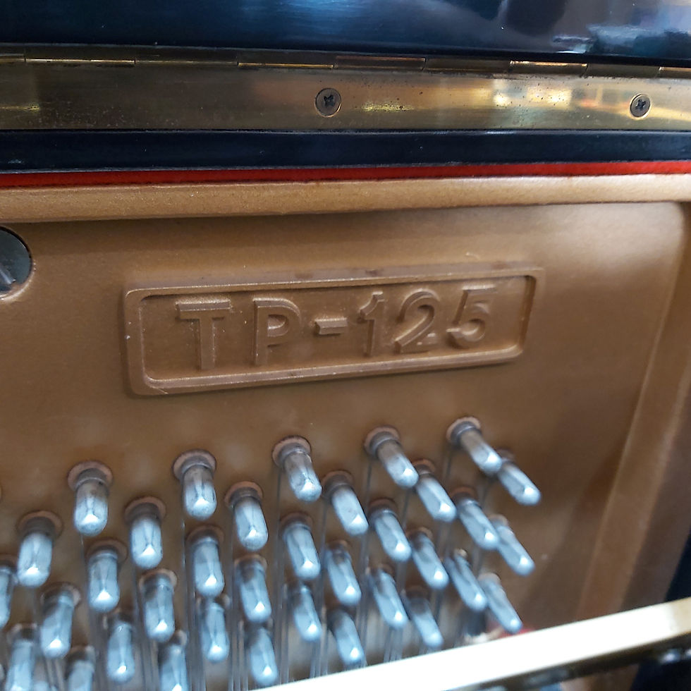 Kawai TP 125