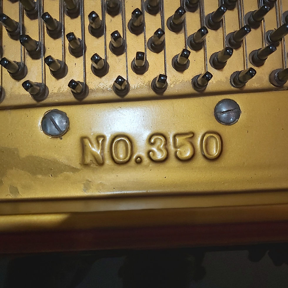 Kawai 350