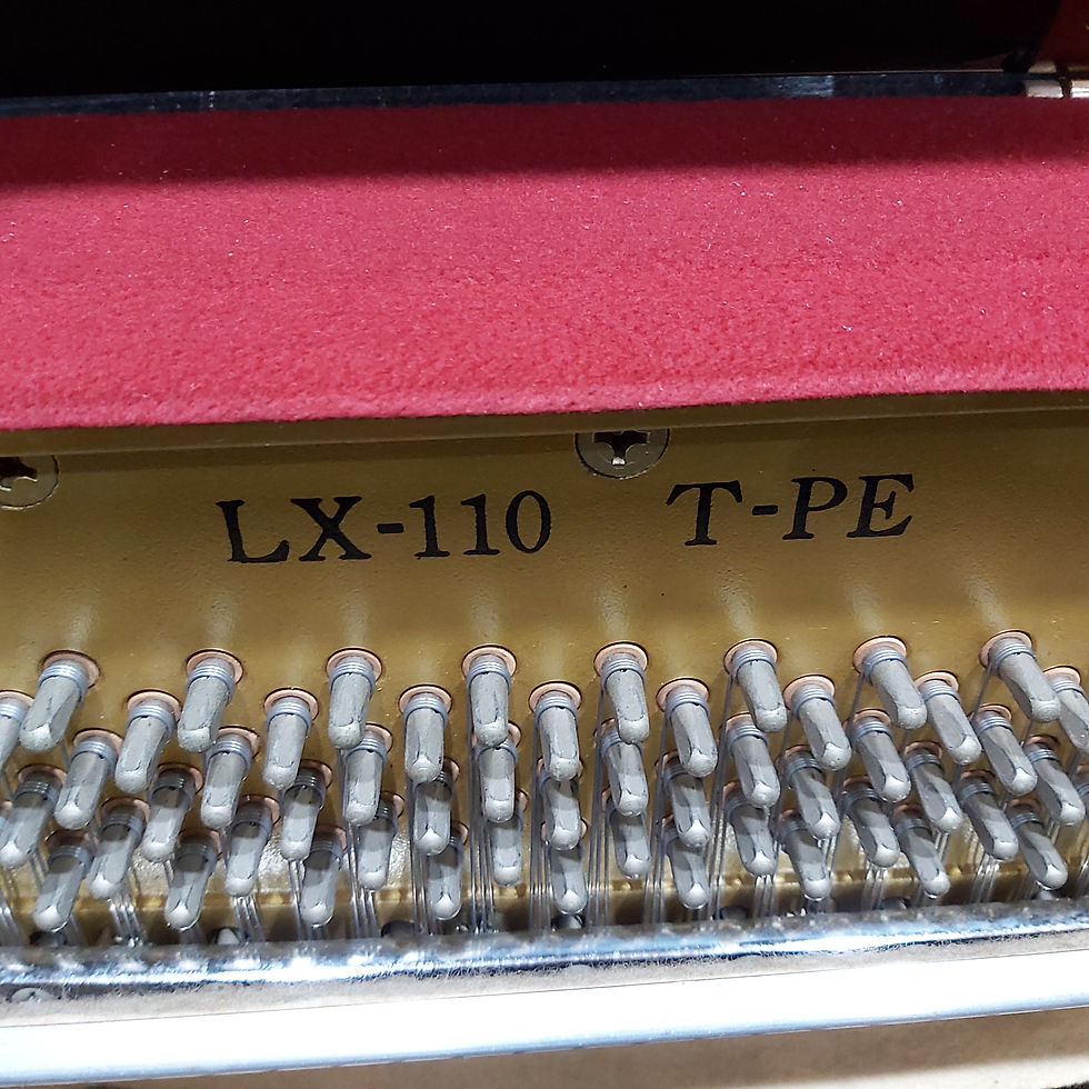 Yamaha LX 110 TPE