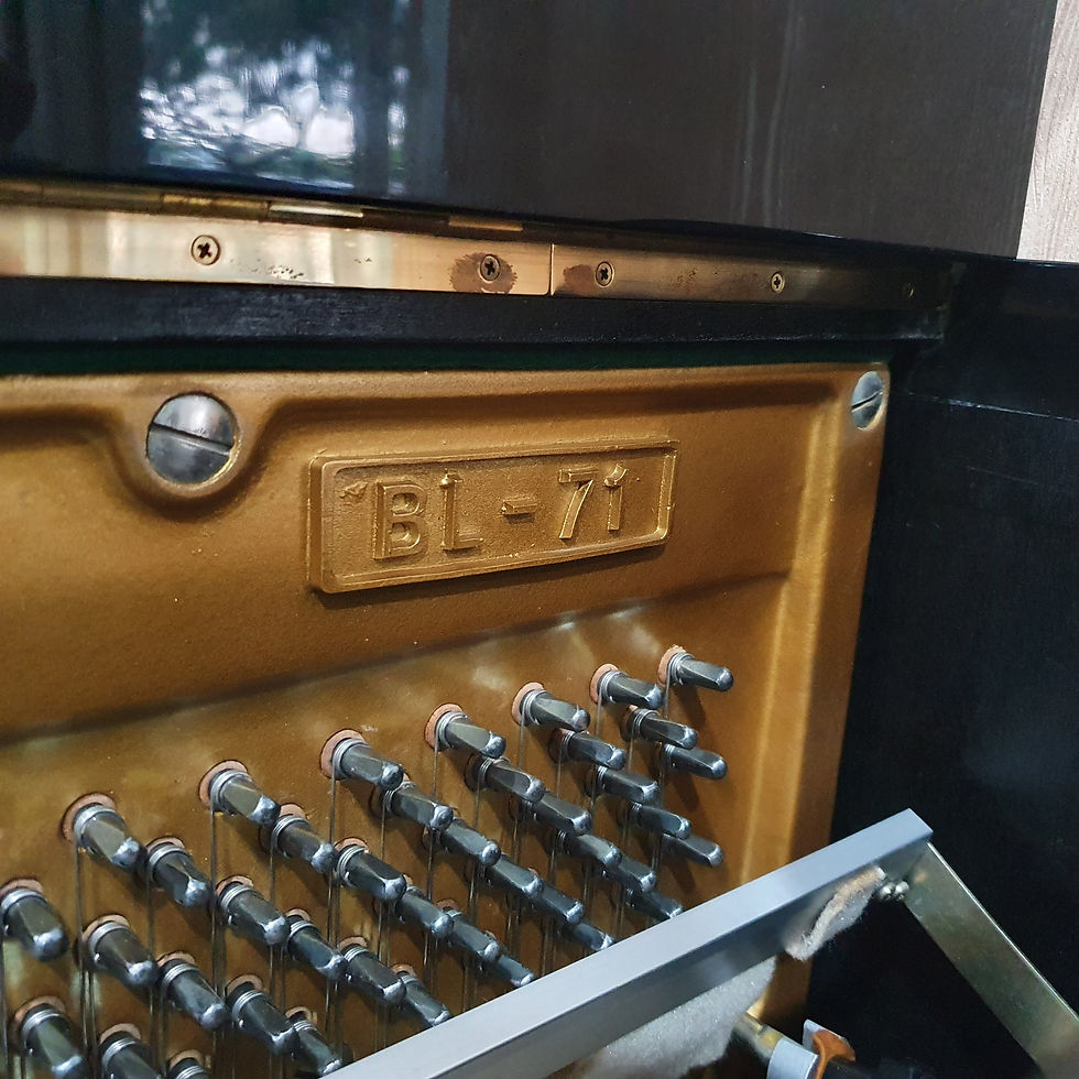 Kawai BL 71