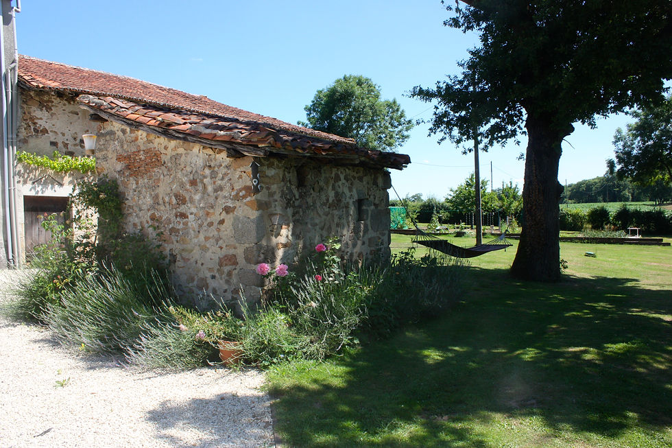 A shady spot at Les Picardies