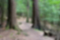 cook_park_photo.jpeg