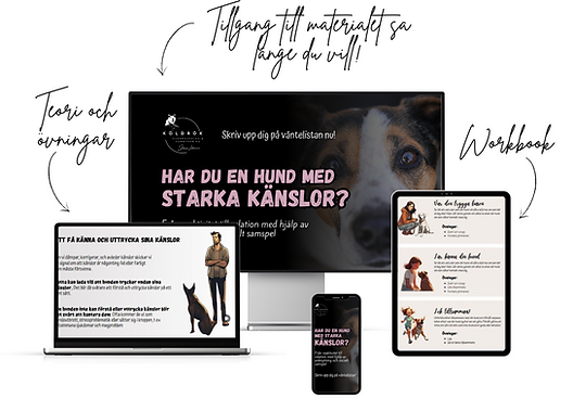 Minimalist Neutral Multi Device Computer Mockup Website Launch Instagram Post.png