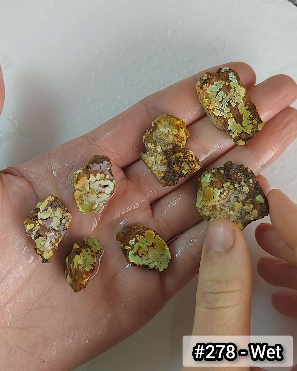 Thumbnail: Willie's Wildflower Turquoise - Rough #278