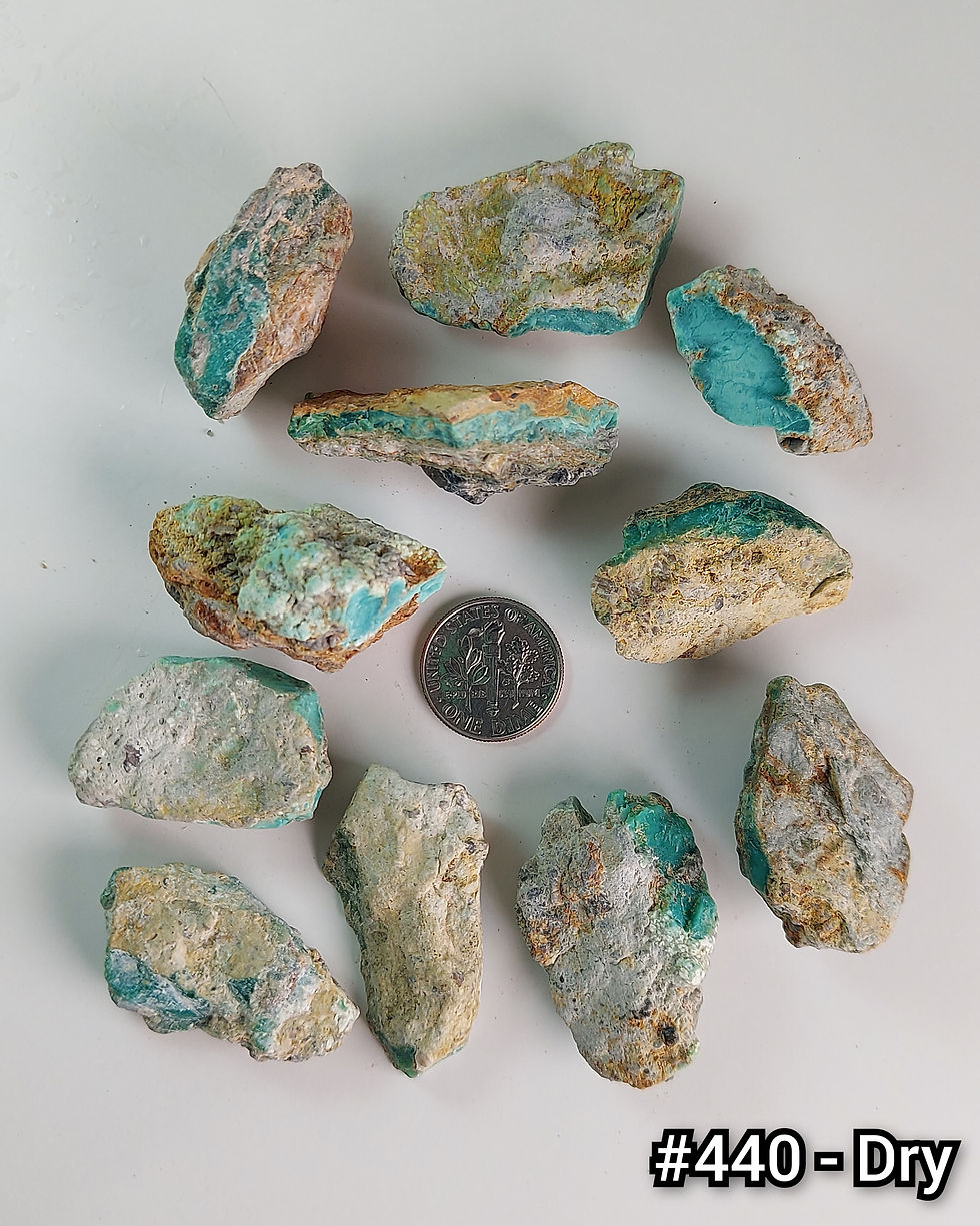 Thumbnail: Siren Storm Variscite - Rough #440
