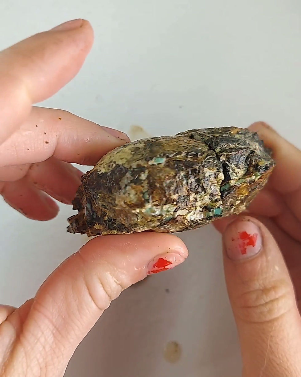 Thumbnail: Black Pearl Variscite - Rough #426