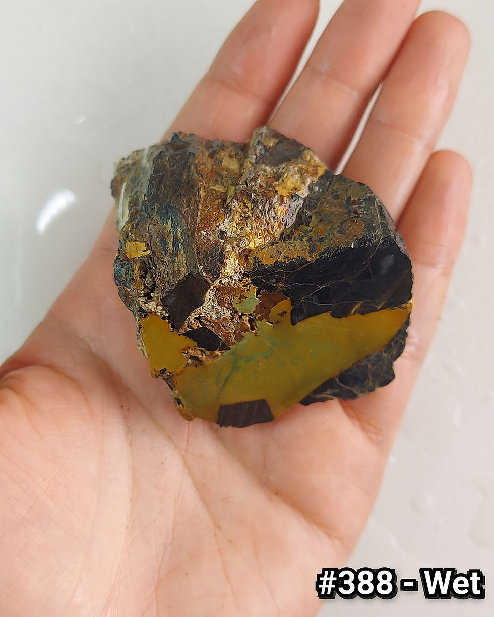 Thumbnail: Chameleon Variscite - Rough #388