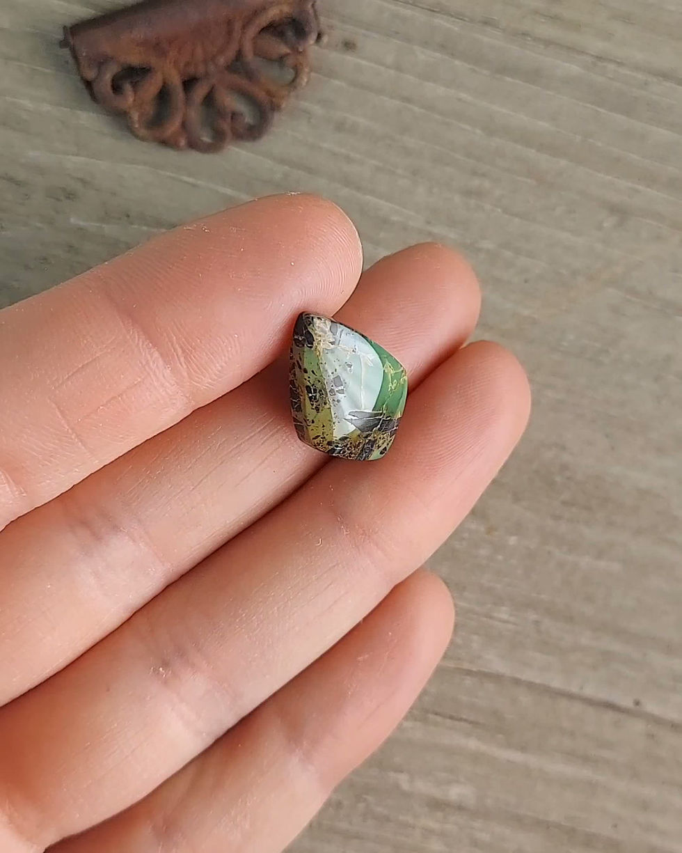 Thumbnail: Chameleon Variscite