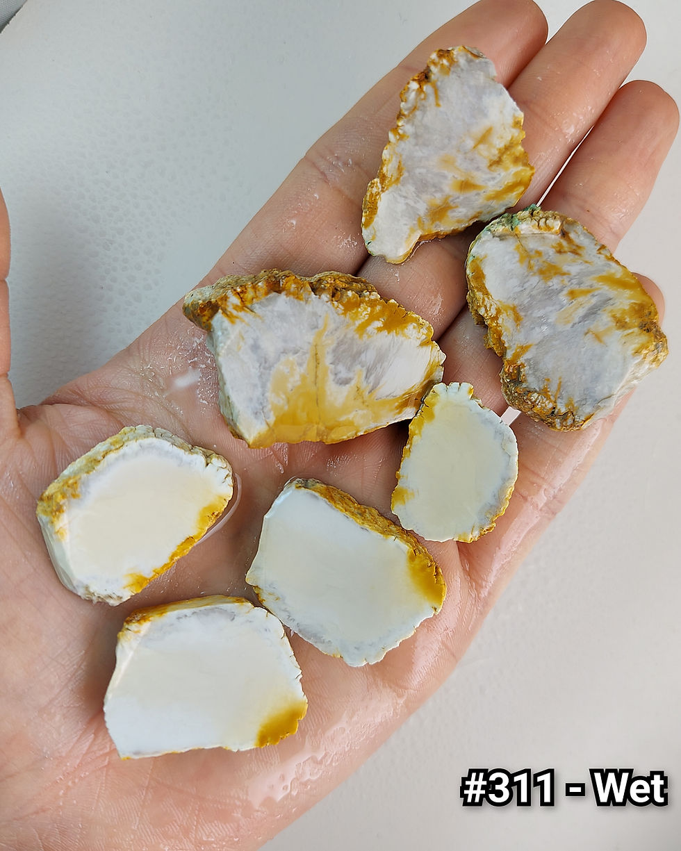 Thumbnail: Desert Snow Howlite - Rough #311