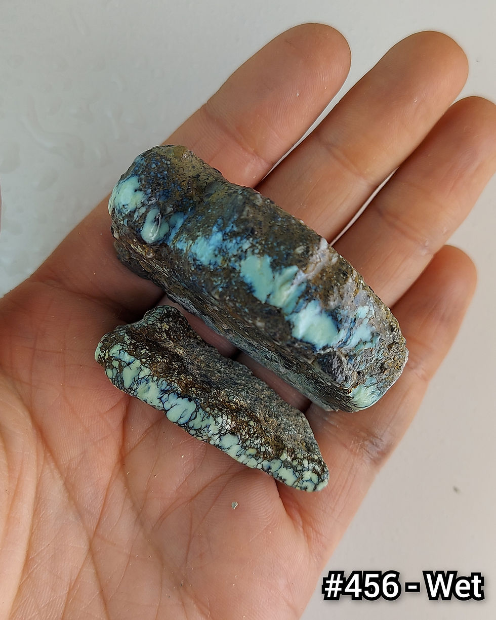 Thumbnail: Verdant Variscite - Rough #456