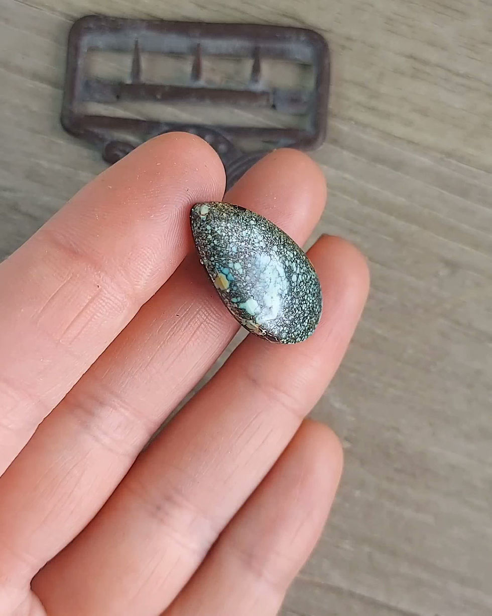 Thumbnail: Black Lily Variscite