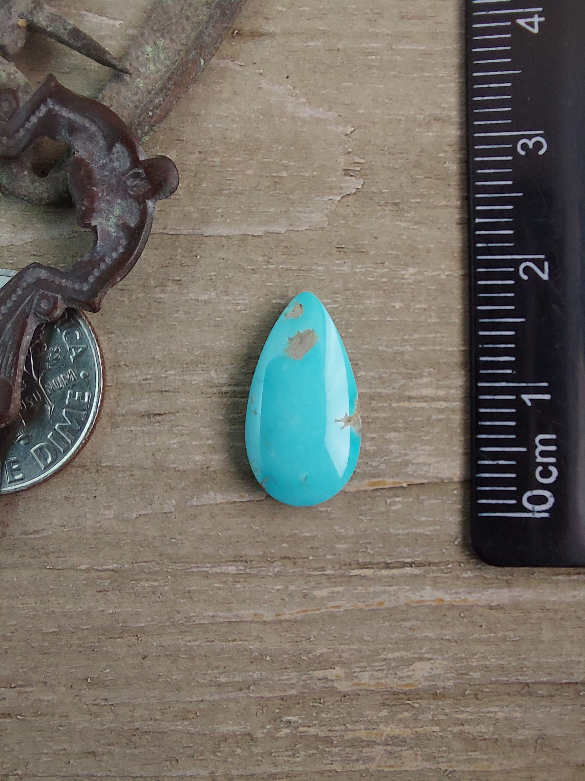 Ol' Willie Turquoise