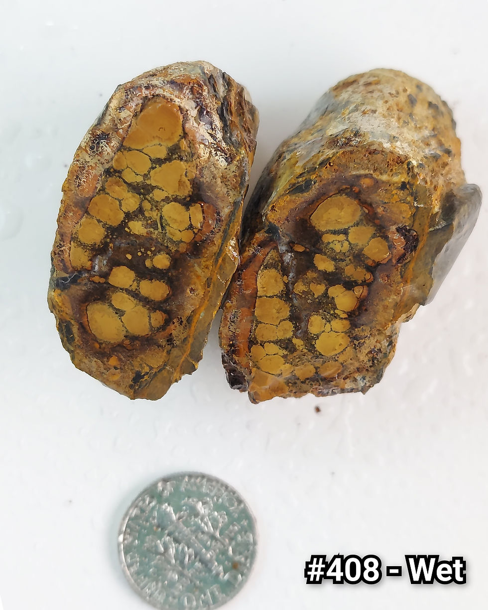 Thumbnail: Rusted Lily Variscite - Rough #408