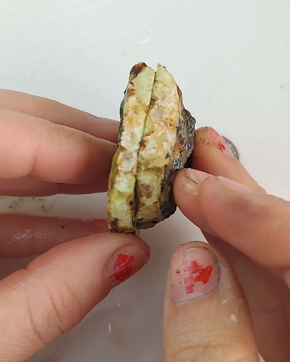 Thumbnail: Chameleon Variscite - Rough #421
