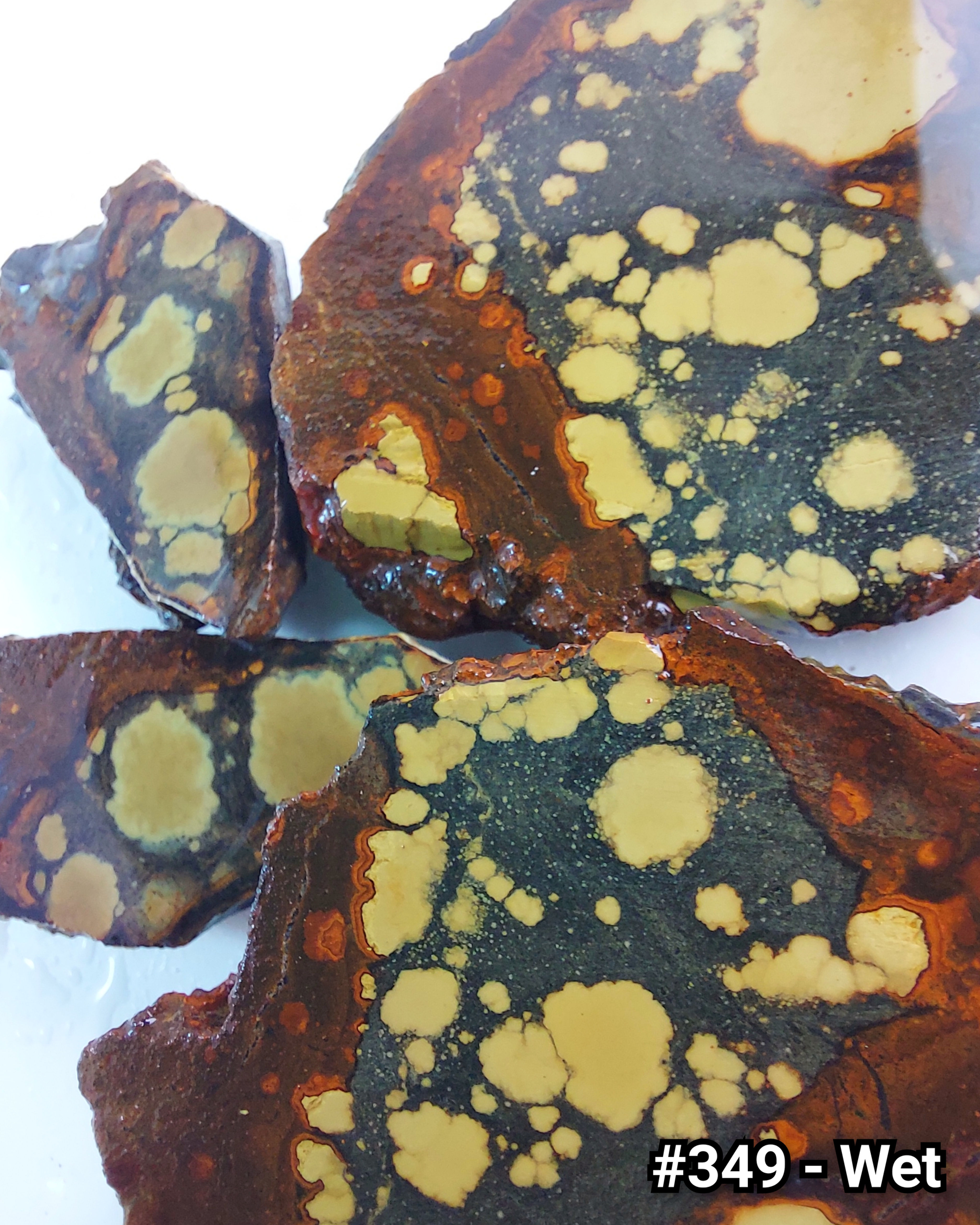 Rusted Lily Variscite - Rough #349