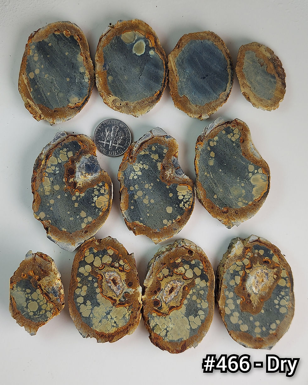 Thumbnail: Rusted Lily Variscite - Rough #466