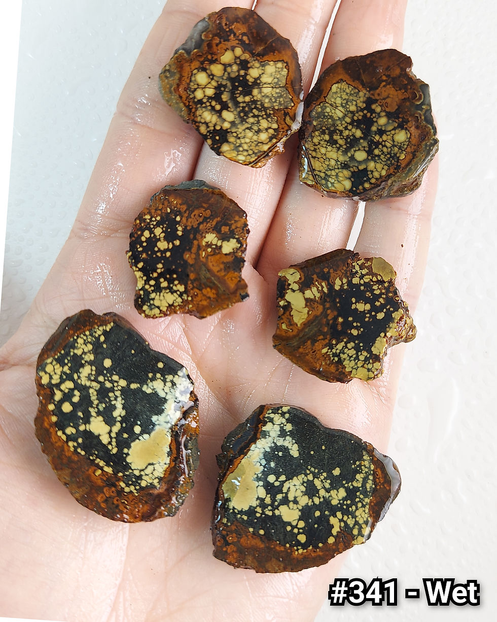Thumbnail: Rusted Lily Variscite - Rough #341
