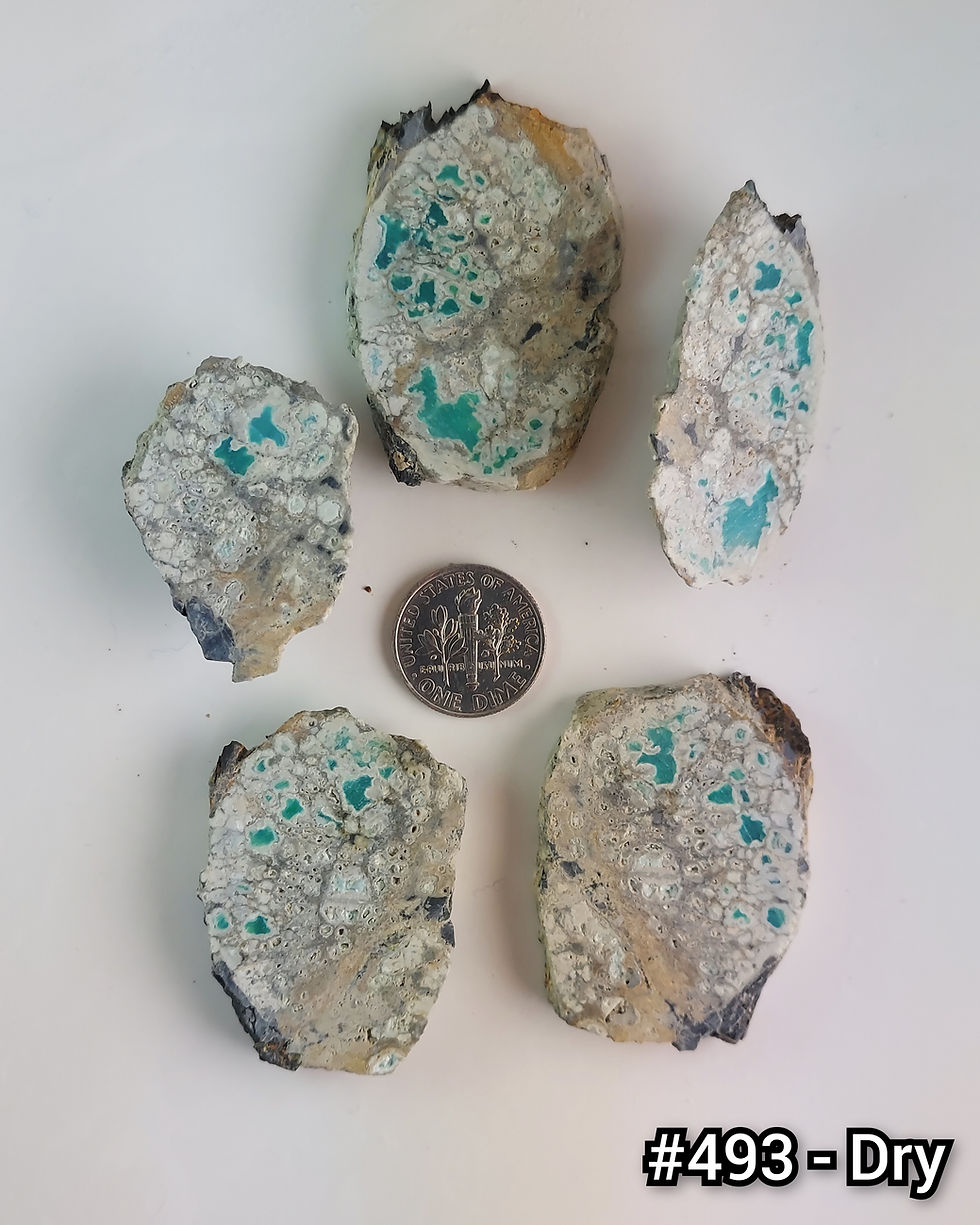 Thumbnail: Happy Variscite - Rough #493
