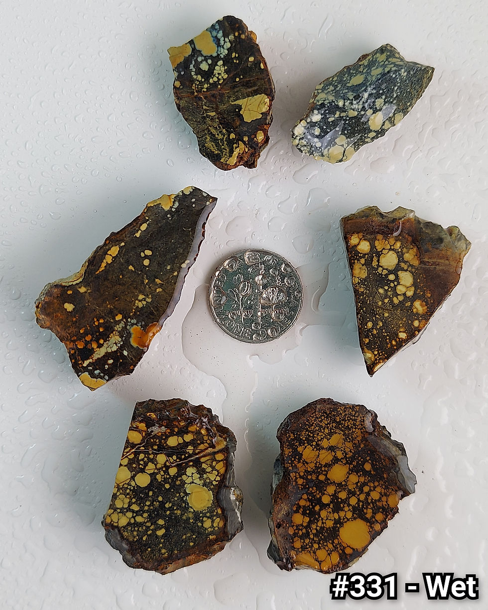 Thumbnail: Rusted Lily Variscite - Rough #331