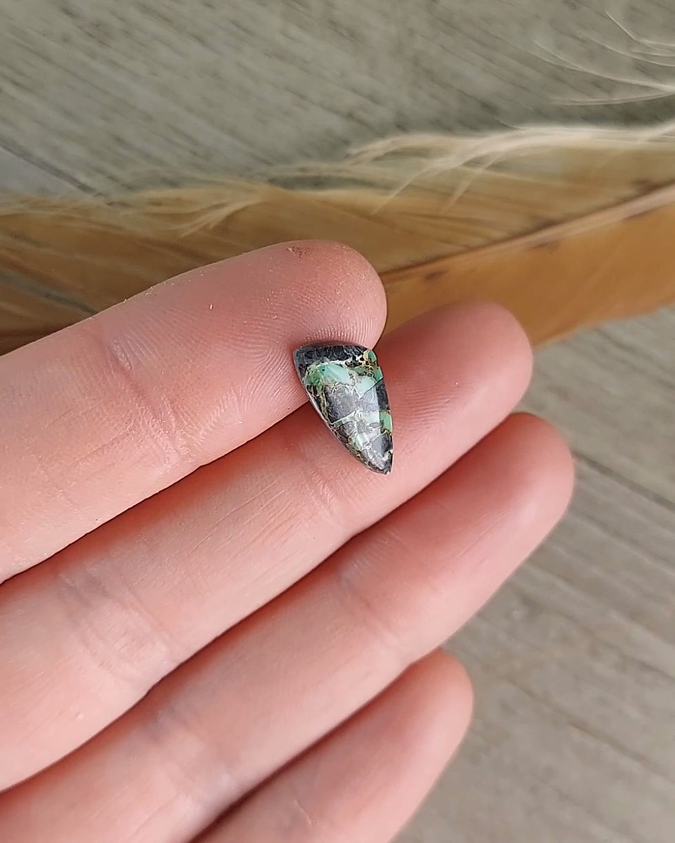 Thumbnail: Chameleon Variscite