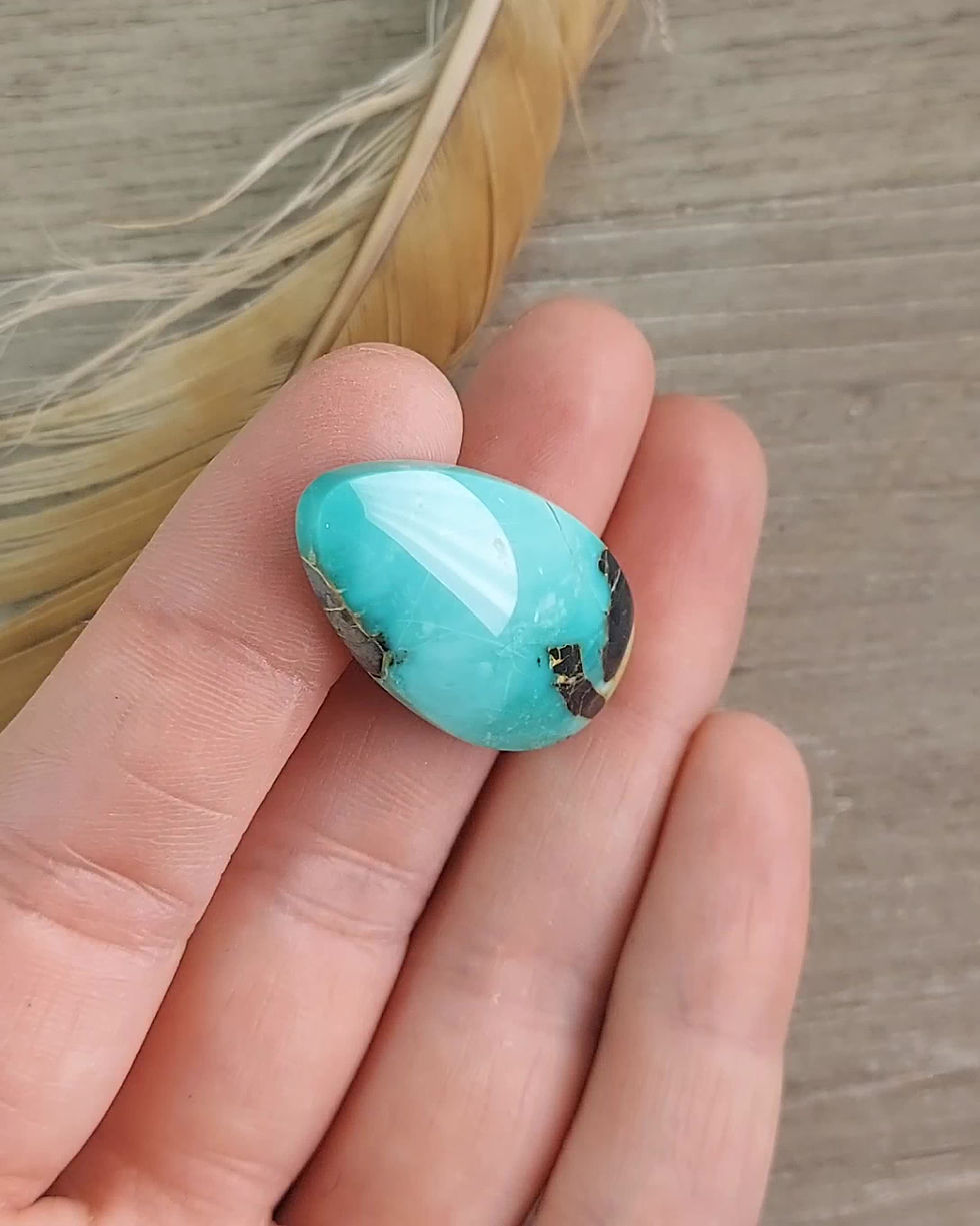 Thumbnail: Chameleon Variscite