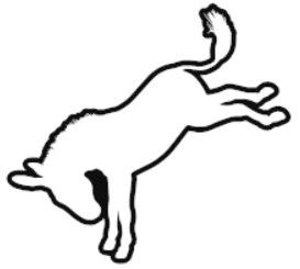 Thumbnail: Bucking Mule Decal