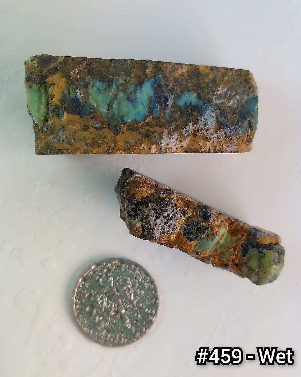 Thumbnail: Verdant Variscite - Rough #459