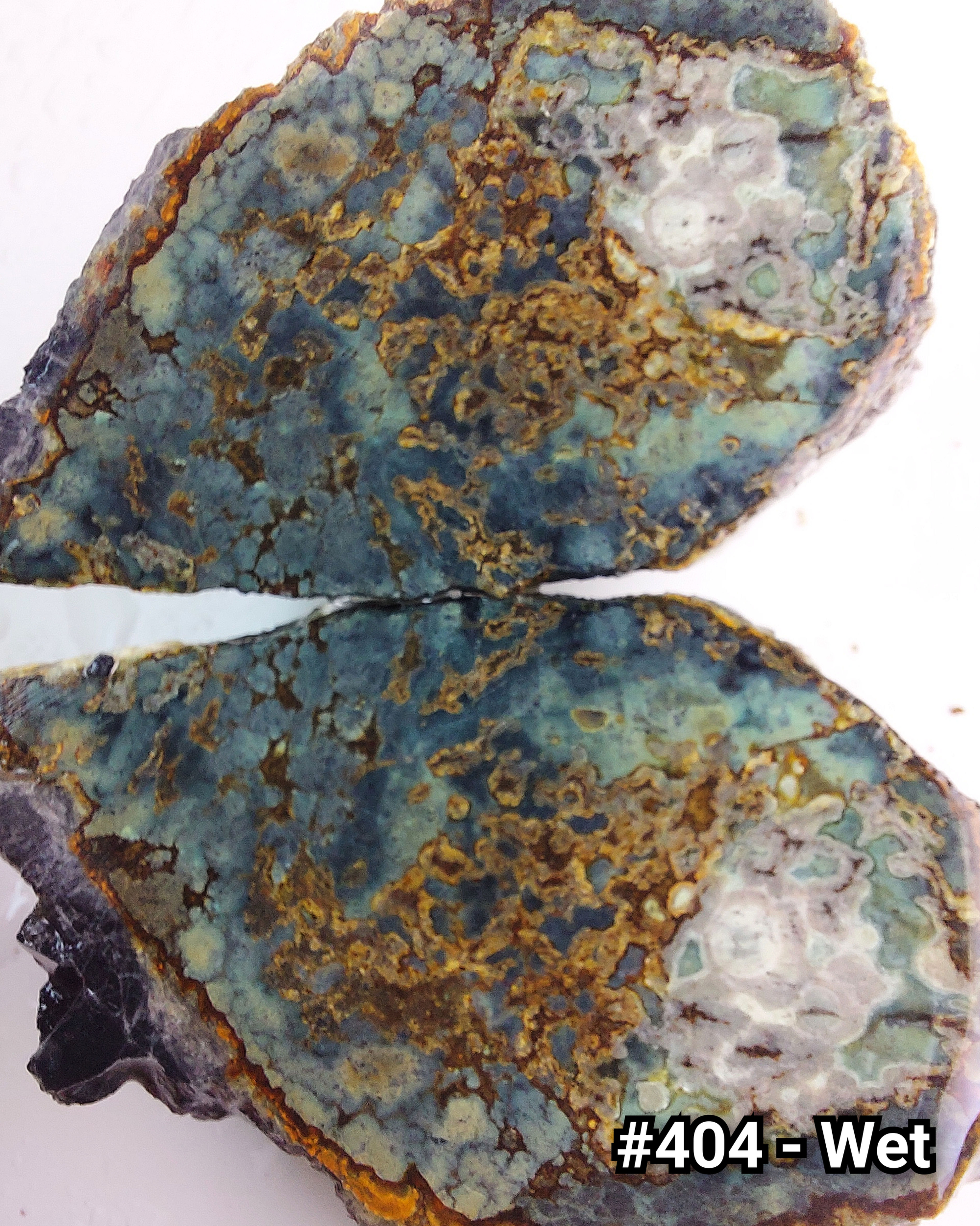 Black Pearl Variscite - Rough #404