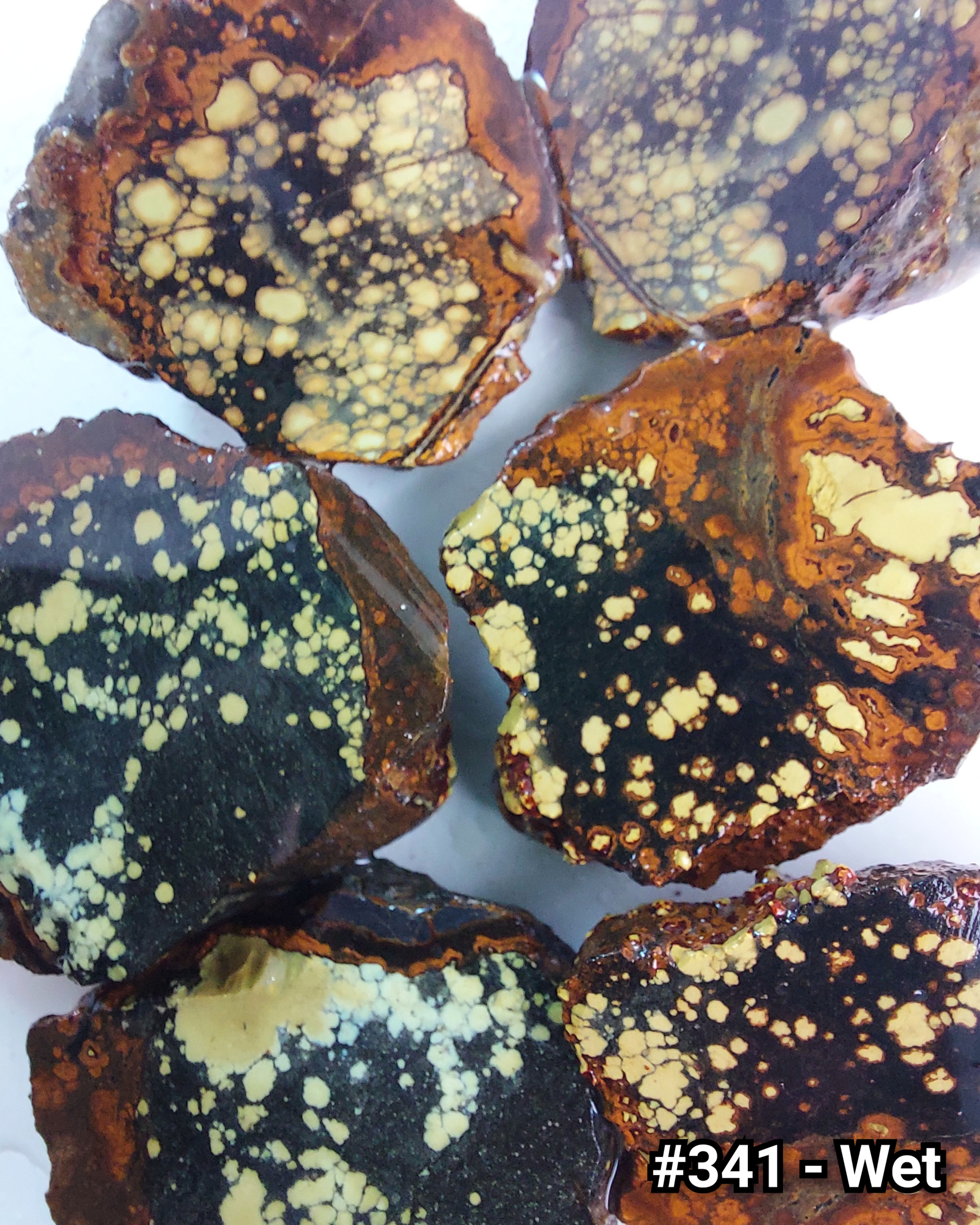 Rusted Lily Variscite - Rough #341