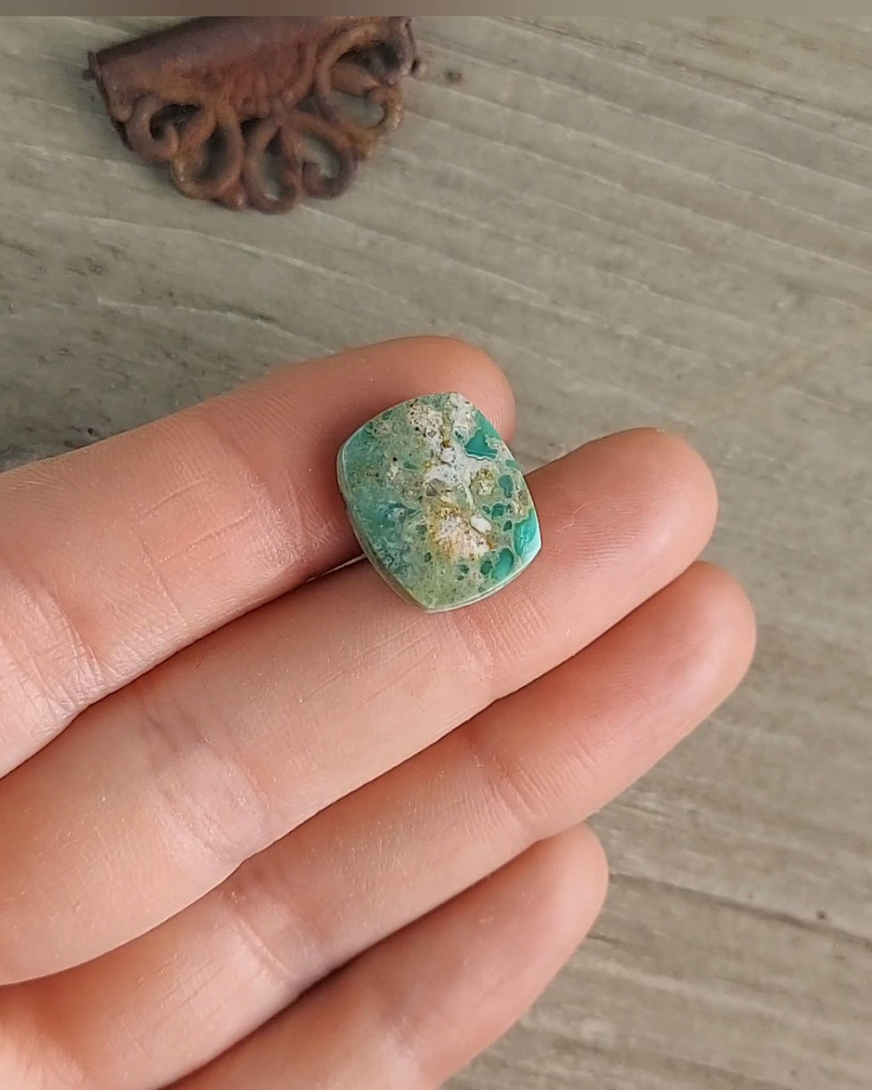 Thumbnail: Siren Storm Variscite