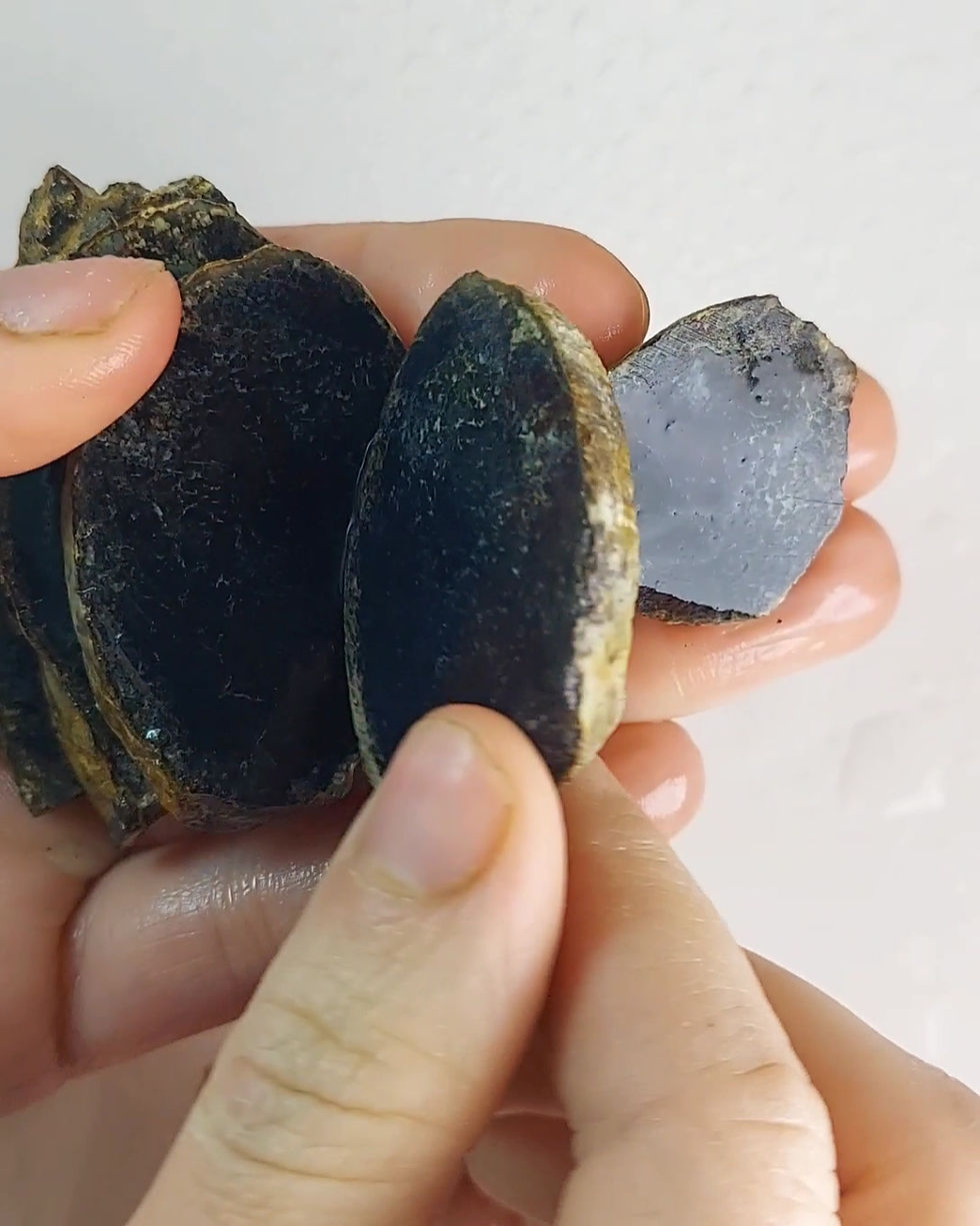 Thumbnail: Black Pearl Variscite - Rough #282