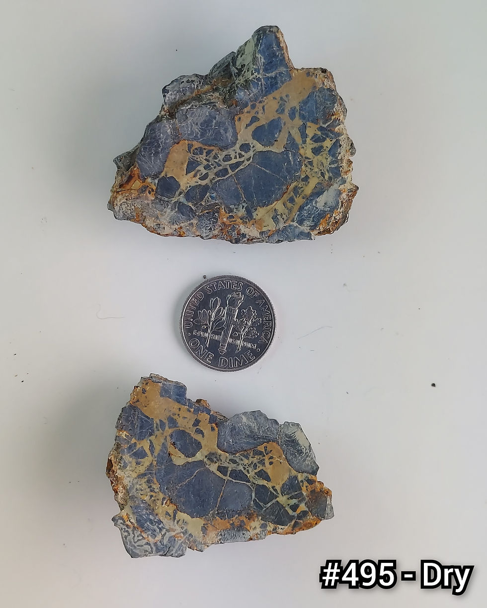 Thumbnail: Chameleon Variscite - Rough #495