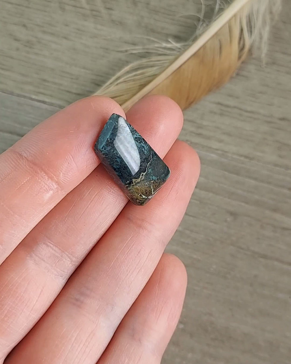 Thumbnail: Black Pearl Variscite