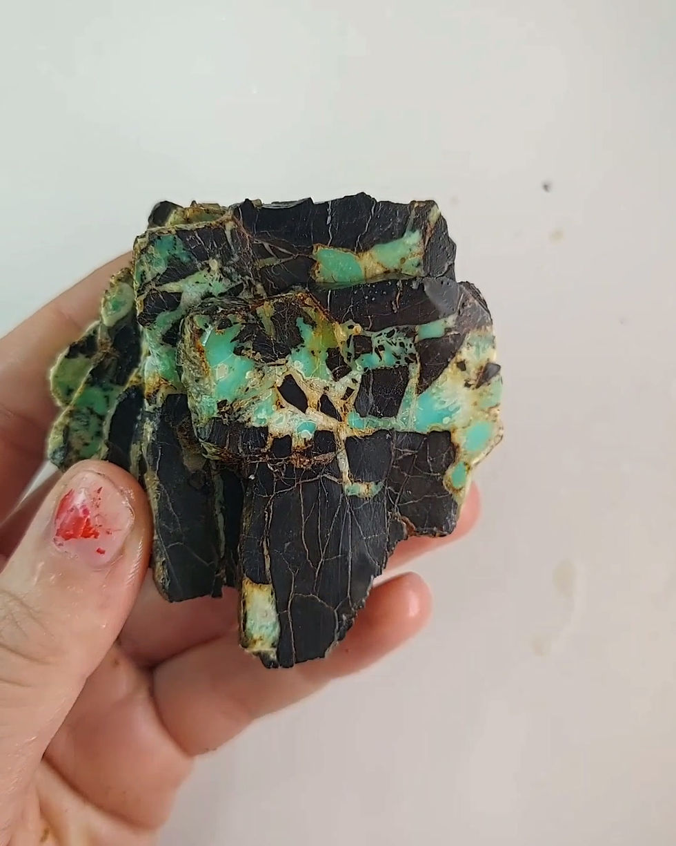 Thumbnail: Happy Variscite - Rough #423